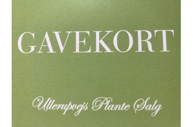 Gavekort