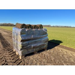 Rullegrs - Jylland/Fyn.